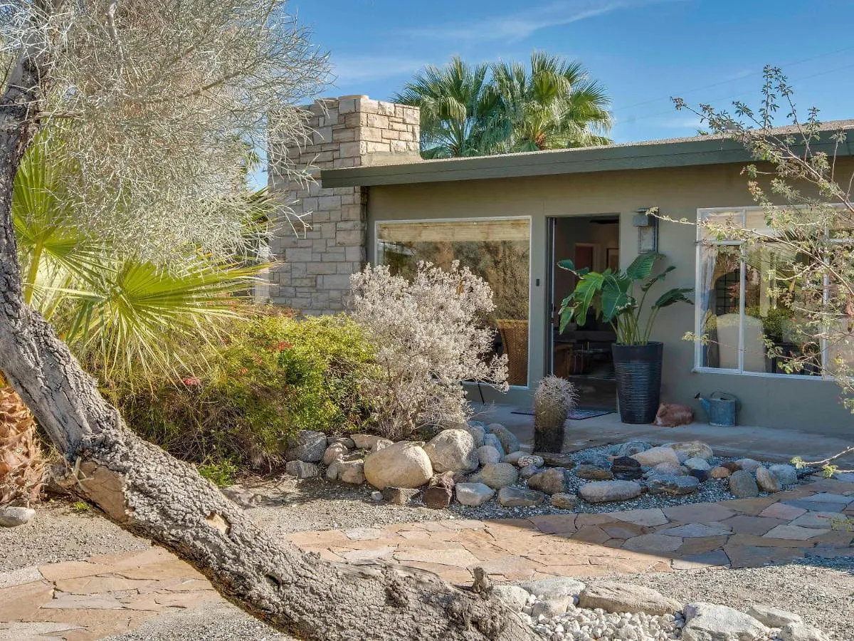 Canary Palms By Acme House Company Palm Springs USA